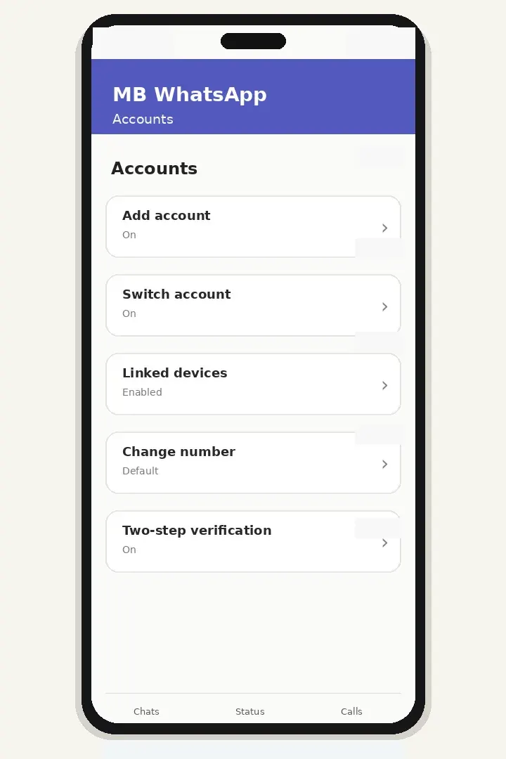 Multiple Accounts