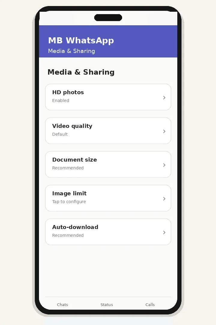 Larger File Sharing